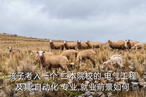 孩子考入一個 二本院校的 電氣工程及其 自動化 專業(yè),就業(yè)前景如何