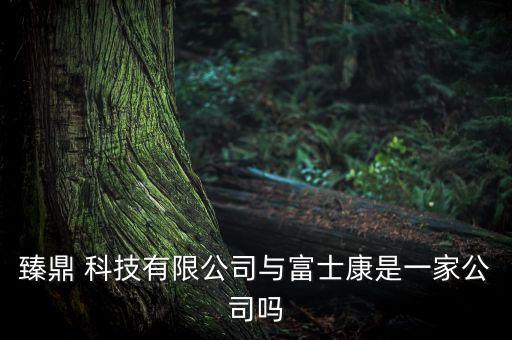 臻鼎 科技有限公司與富士康是一家公司嗎