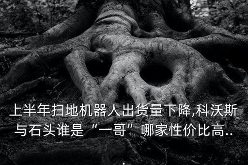 掃地機(jī)器人成交額,掃地機(jī)器人十大品牌有哪些?