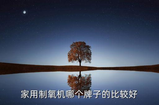 家用制氧機哪個牌子的比較好