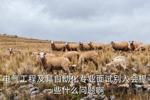 電氣工程及其自動(dòng)化專業(yè)面試別人會(huì)提一些什么問題啊