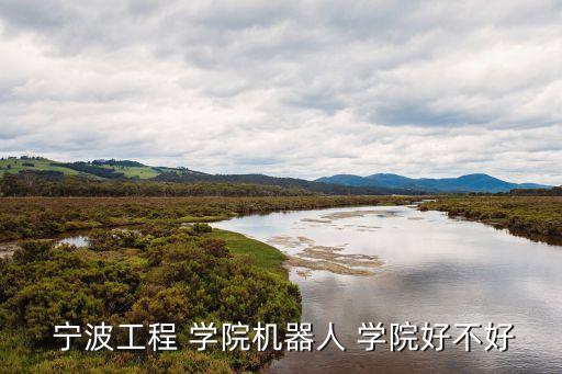  寧波工程 學院機器人 學院好不好