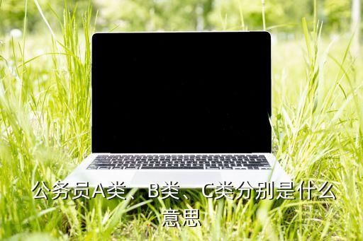  公務(wù)員A類、B類、C類分別是什么意思