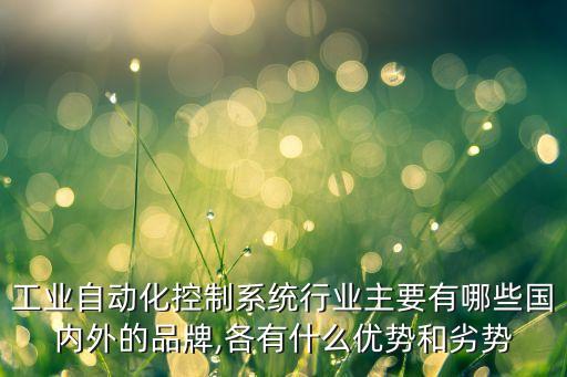 工業(yè)自動化控制系統(tǒng)行業(yè)主要有哪些國內外的品牌,各有什么優(yōu)勢和劣勢