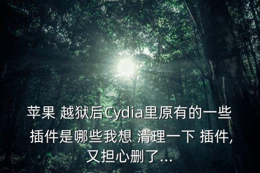 蘋果 越獄后Cydia里原有的一些 插件是哪些我想 清理一下 插件,又擔(dān)心刪了...