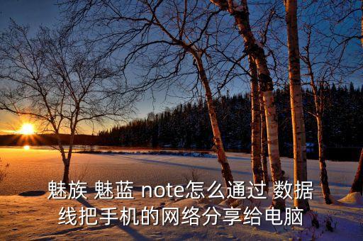 魅族 魅藍(lán) note怎么通過 數(shù)據(jù)線把手機(jī)的網(wǎng)絡(luò)分享給電腦