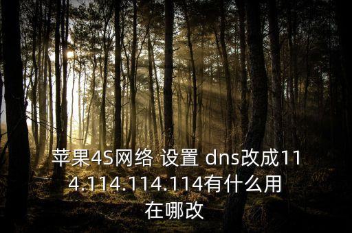 蘋果4S網(wǎng)絡(luò) 設(shè)置 dns改成114.114.114.114有什么用在哪改