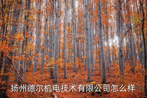 揚(yáng)州德爾機(jī)電技術(shù)有限公司怎么樣