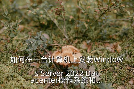 如何在一臺(tái)計(jì)算機(jī)上安裝Windows Server 2022 Datacenter操作系統(tǒng)和...