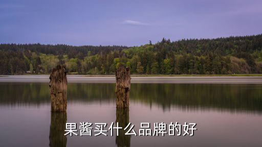 果醬買(mǎi)什么品牌的好