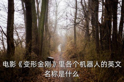 電影《變形金剛》里各個(gè)機(jī)器人的英文名稱是什么