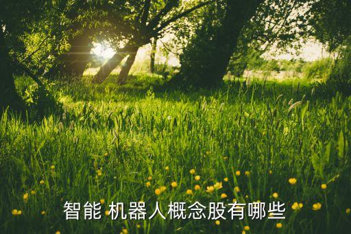優(yōu)友機(jī)器人是哪個公司設(shè)計的