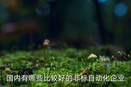 國內(nèi)有哪些比較好的非標(biāo)自動化企業(yè)