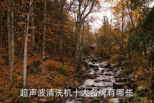 超聲波清洗機(jī)十大名牌有哪些