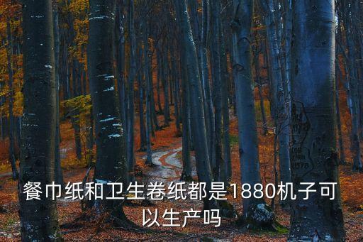 餐巾紙和衛(wèi)生卷紙都是1880機子可以生產(chǎn)嗎