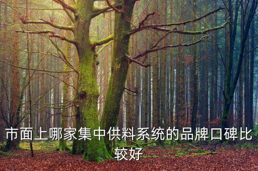 市面上哪家集中供料系統(tǒng)的品牌口碑比較好