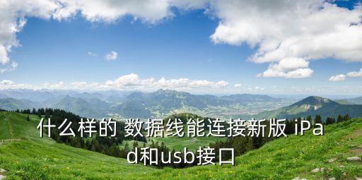什么樣的 數據線能連接新版 iPad和usb接口