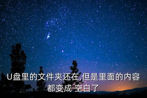 U盤里的文件夾還在,但是里面的內(nèi)容都變成 空白了