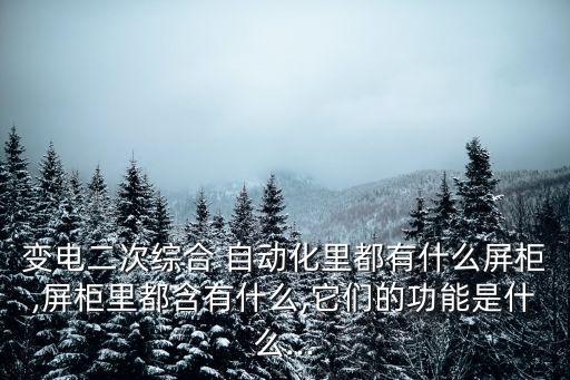 變電二次綜合 自動(dòng)化里都有什么屏柜,屏柜里都含有什么,它們的功能是什么...