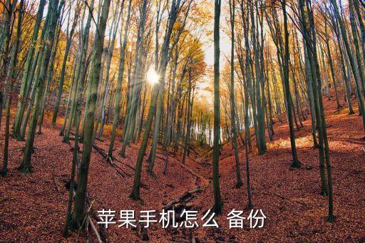 蘋果手機(jī)怎么 備份