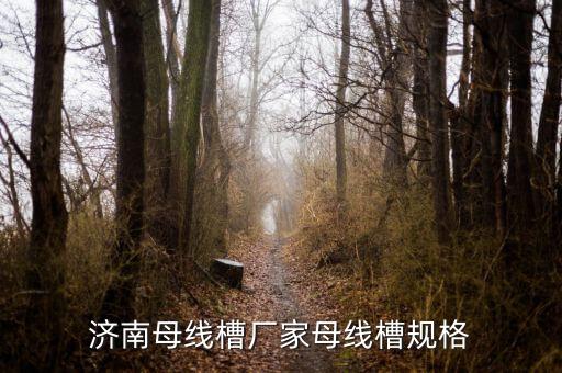 濟(jì)南母線槽廠家母線槽規(guī)格