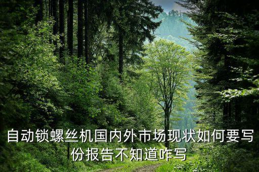 自動(dòng)鎖螺絲機(jī)國內(nèi)外市場現(xiàn)狀如何要寫份報(bào)告不知道咋寫