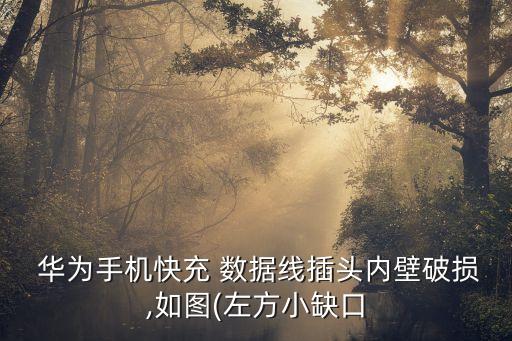  華為手機(jī)快充 數(shù)據(jù)線插頭內(nèi)壁破損,如圖(左方小缺口