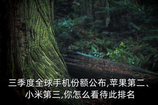 小米近幾年的數(shù)據(jù)排行