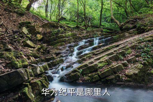 深圳華為電氣自動化,華為深圳海思芯片在哪里辦公?