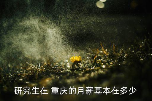 研究生在 重慶的月薪基本在多少