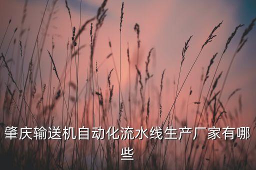肇慶輸送機自動化流水線生產(chǎn)廠家有哪些
