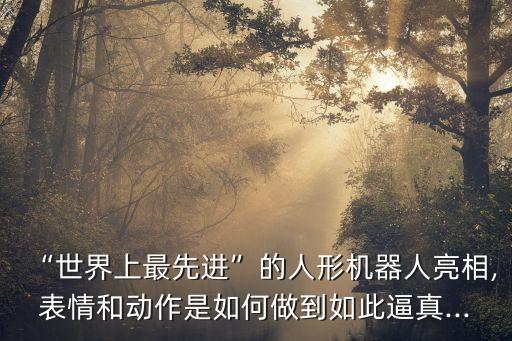 世界上的機(jī)器人長什么樣子,機(jī)器人是什么樣子?