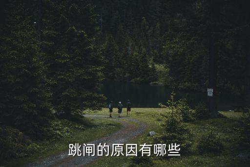 跳閘的原因有哪些