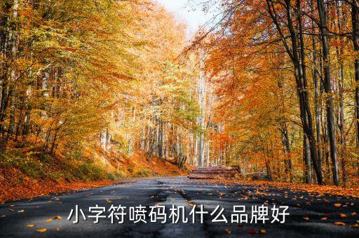 激光噴碼設(shè)備自動化,激光打碼器怎么工作?