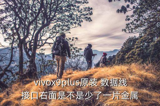  vivox9plus原裝 數(shù)據(jù)線接口右面是不是少了一片金屬