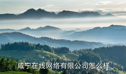  咸寧在線網(wǎng)絡(luò)有限公司怎么樣
