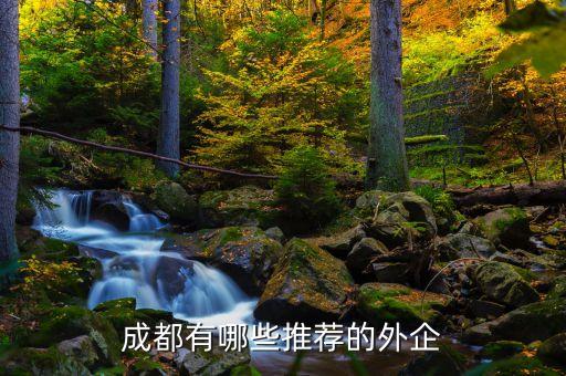 成都有哪些推薦的外企