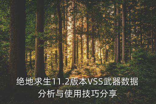 絕地求生11.2版本VSS武器數(shù)據(jù)分析與使用技巧分享