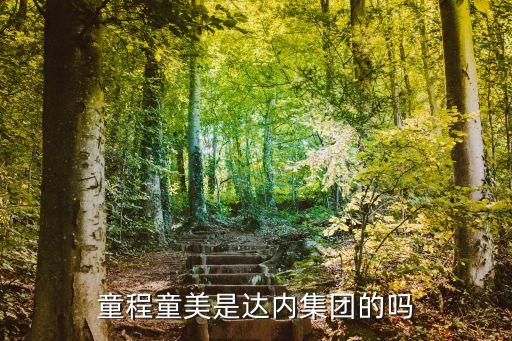 童程童美是達(dá)內(nèi)集團(tuán)的嗎
