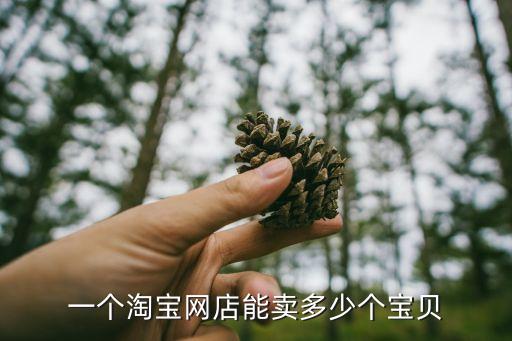 一個淘寶網(wǎng)店能賣多少個寶貝