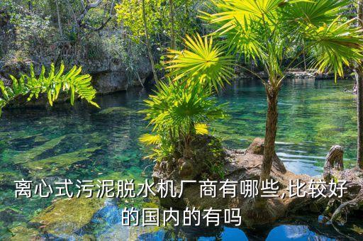 離心式污泥脫水機(jī)廠商有哪些,比較好的國(guó)內(nèi)的有嗎