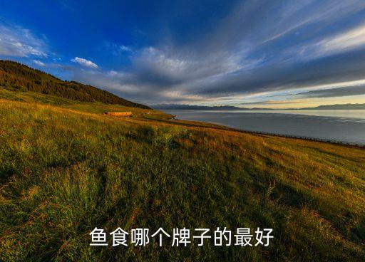 自動(dòng)化喂魚飼料設(shè)備廠家