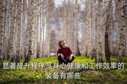 顯著提升程序員身心健康和工作效率的裝備有哪些