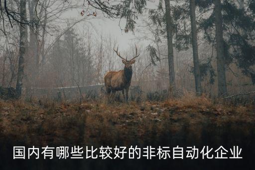 國內(nèi)有哪些比較好的非標(biāo)自動(dòng)化企業(yè)