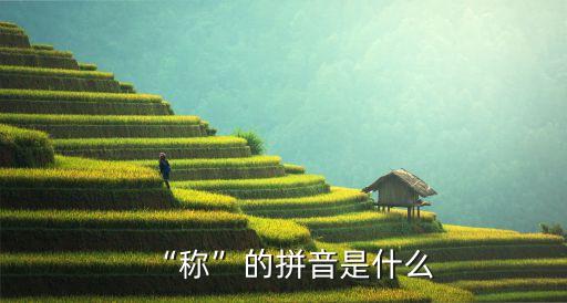 稱是