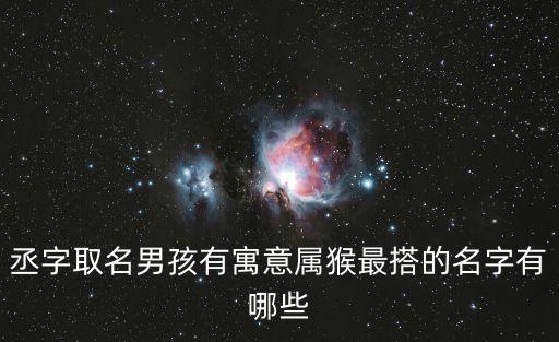 丞字取名男孩有寓意屬猴最搭的名字有哪些