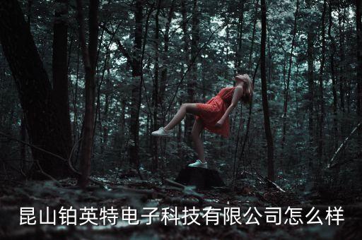 昆山鉑英特電子科技有限公司怎么樣