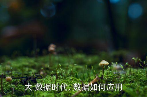 大數(shù)據(jù)可以應(yīng)用在哪里,蘋果應(yīng)用與數(shù)據(jù)在哪里打開