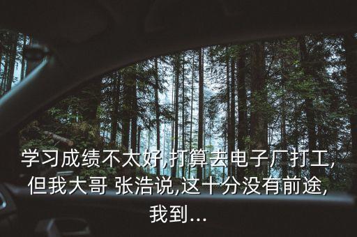 學(xué)習(xí)成績不太好,打算去電子廠打工,但我大哥 張浩說,這十分沒有前途,我到...
