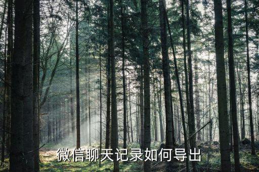 微信聊天記錄如何導(dǎo)出
